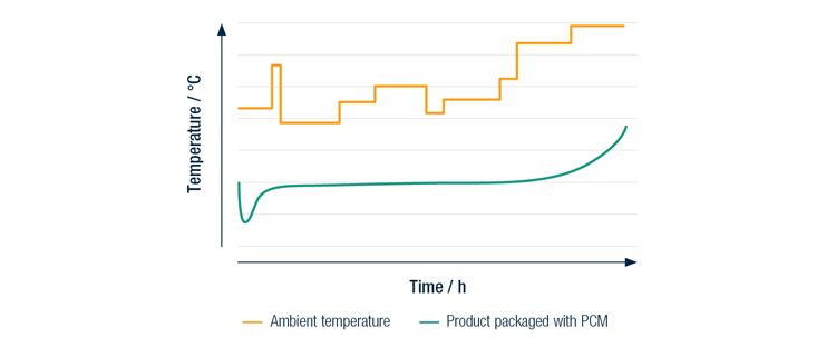 Temperature profile graph