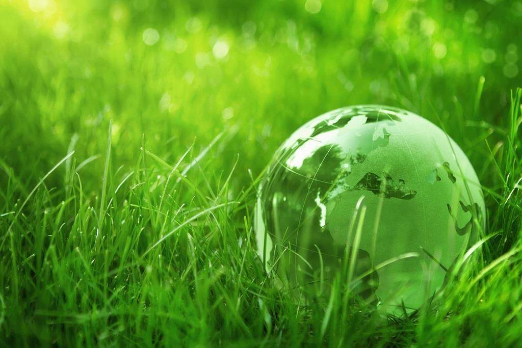 Globe in grass