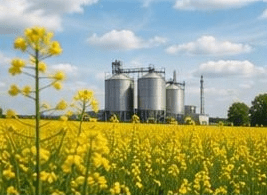 Seatons Emulsifiable Rapeseed Oil