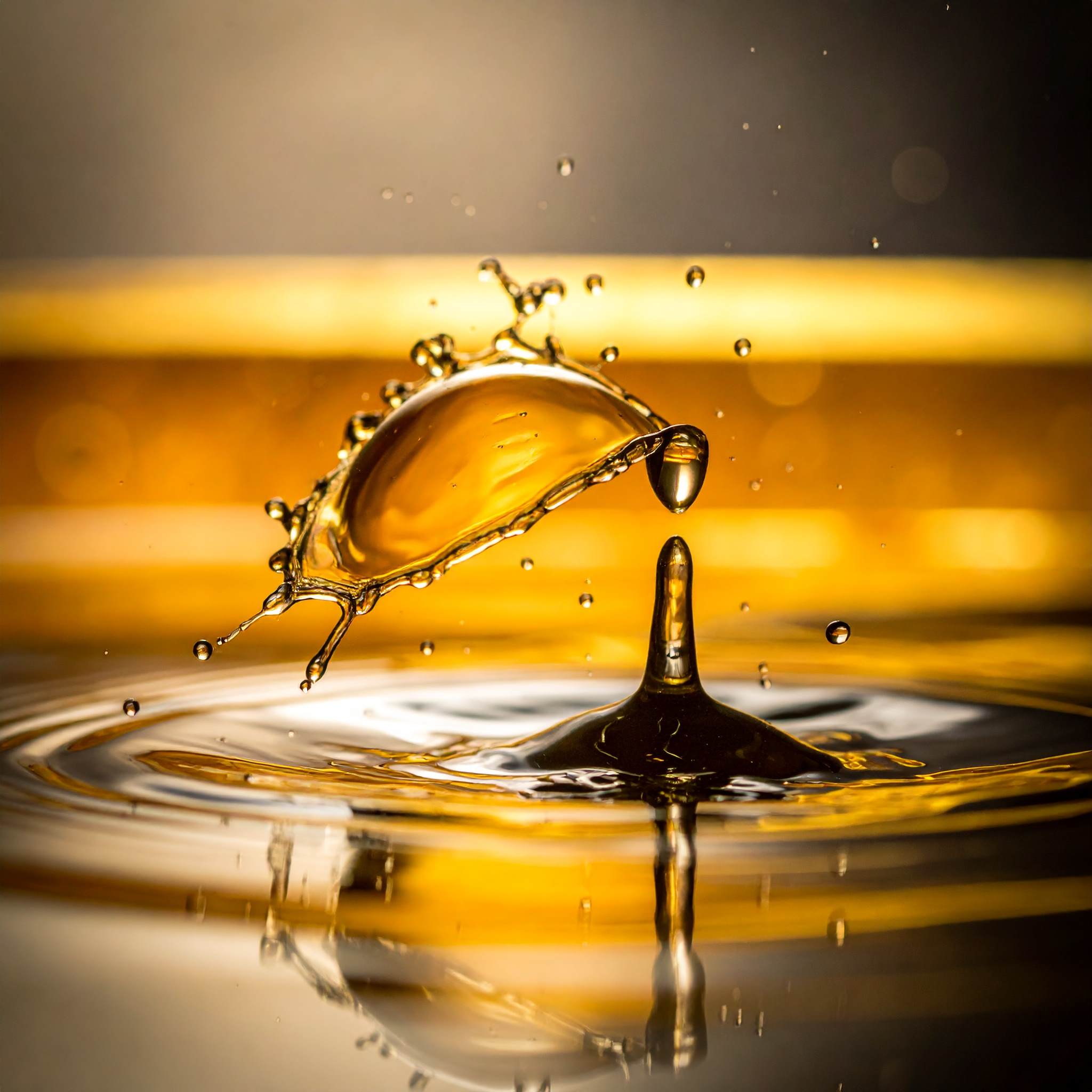Oil droplets dispersed in water v2