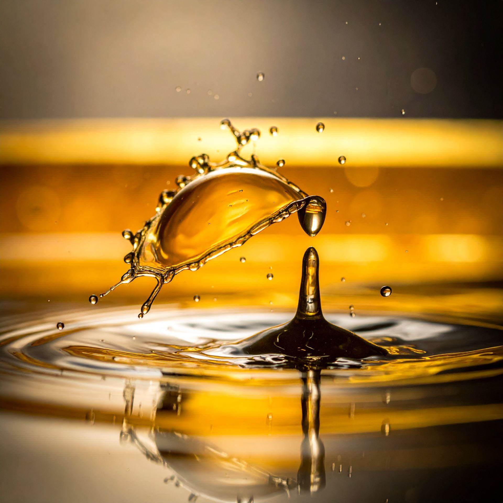 Oil droplets dispersed in water v2